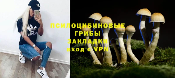 гидра Алексин