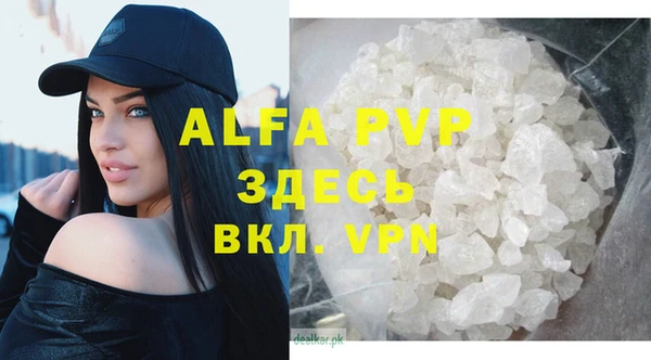 гидра Алексин