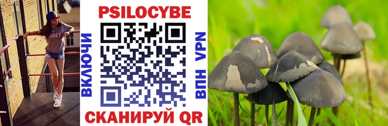 omg ТОР  это какой сайт  Балашов  Галлюциногенные грибы Magic Shrooms  сколько стоит 
